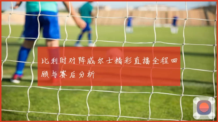 比利时对阵威尔士精彩直播全程回顾与赛后分析