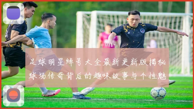 足球明星绰号大全最新更新版揭秘球场传奇背后的趣味故事与个性魅力