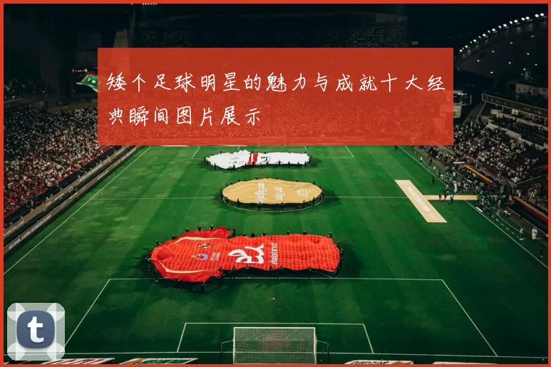 矮个足球明星的魅力与成就十大经典瞬间图片展示