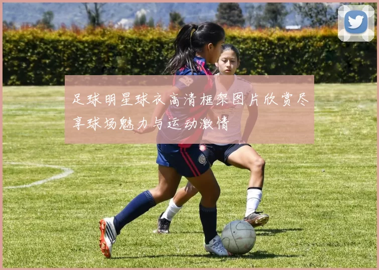 足球明星球衣高清框架图片欣赏尽享球场魅力与运动激情