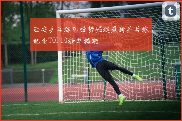 西安乒乓球队强势崛起最新乒乓球配合TOP10榜单揭晓