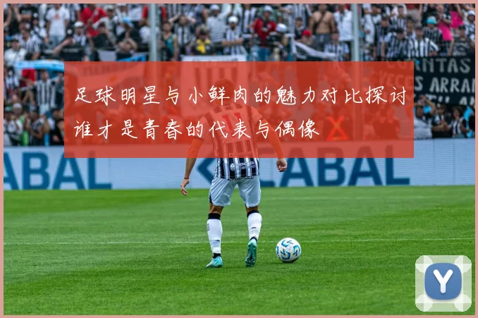 足球明星与小鲜肉的魅力对比探讨谁才是青春的代表与偶像